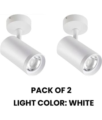 ZESTRUM Plastic Ceiling Lights - Pack of 2