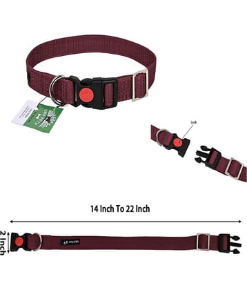 GNS PETS Multicolor Collar ( Medium )