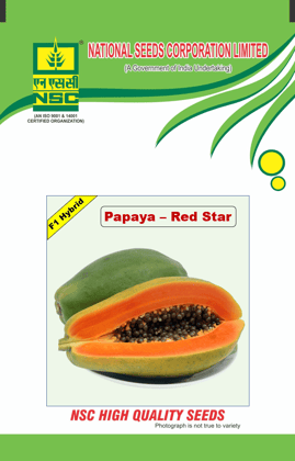 NSC Papaya, Variety : NSC Red Star 1 gm
