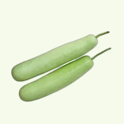 Bottle Gourd - Medium (Lauki)