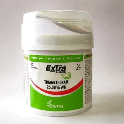 Extra Super - 100 gm Extra Super - 100 gm