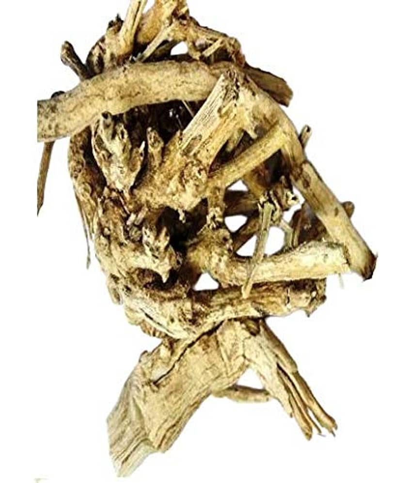 Nutrixia Food Jivanti - जीवंती - Leptadenia Reticulata-Safed Dudhi - Jhumka 480 gm