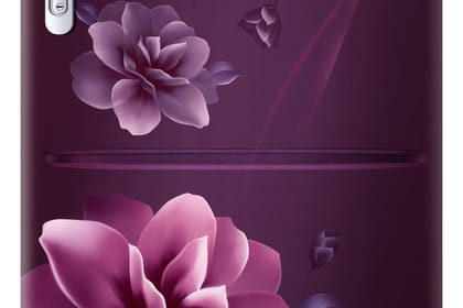 Samsung 223L 3 Star Inverter Direct-Cool Single Door Refrigerator Appliance (RR24C2823CR/NL,Camellia Purple) Base Stand Drawer Samsung 223L 3 Star Inverter Direct-Cool Single Door Refrigerator Appliance (RR24C2823CR/NL,Camellia Purple) Base Stand Drawer 