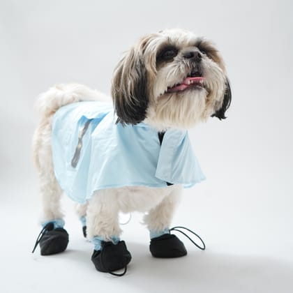 RainPaw Combo - Bunny Eazy Breazy (with paw covers)-S / Blue