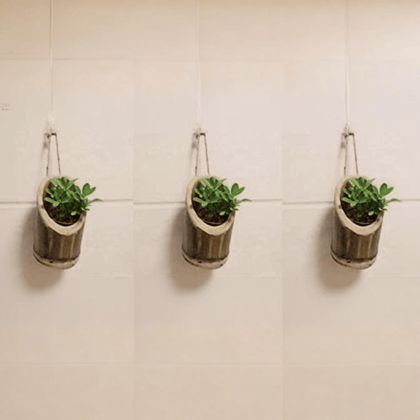 Vertical Hanging Bamboo Planters with Rope - Bamboo Stand - Bamboo Pot