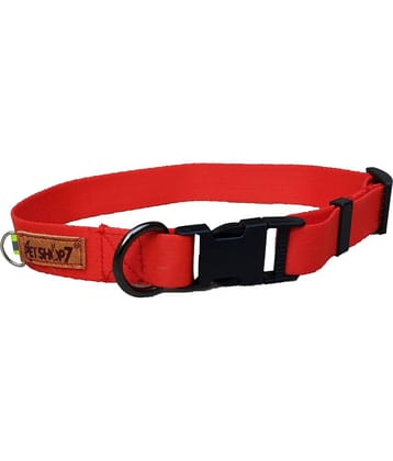 Petshop7 - Dark Grey Collar ( Medium )