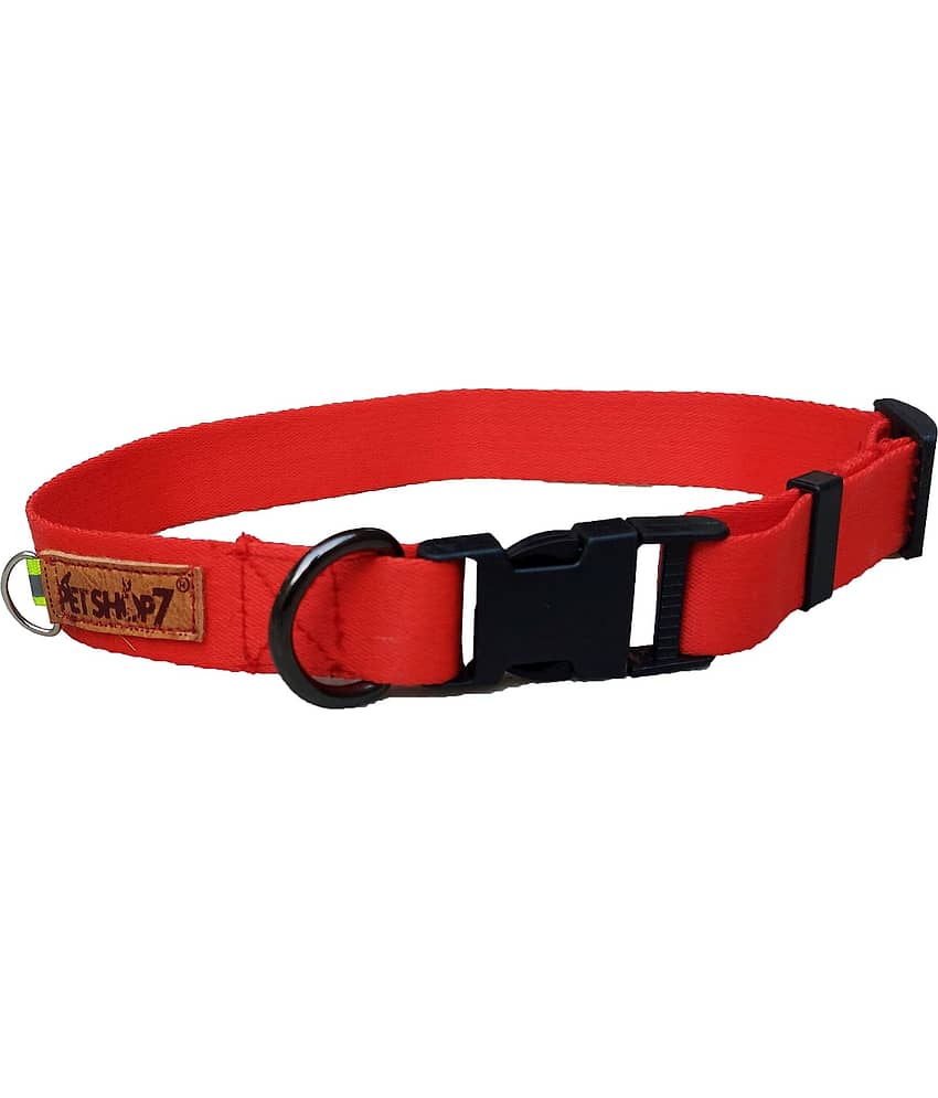 Petshop7 - Dark Grey Collar ( Medium )
