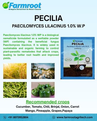 FARM PECILIA  - 1*10KG