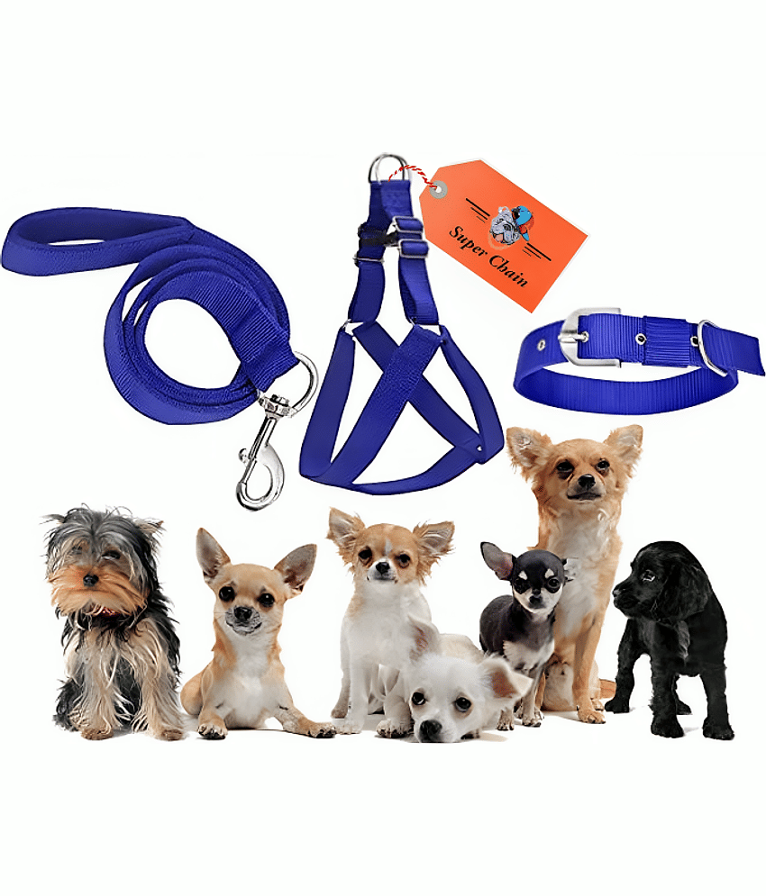 super chain - Blue Combo (Collar Harness and Leash) ( Medium )