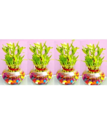 Green plant indoor - Green Wild Artificial Flowers With Pot ( Pack of 4 )