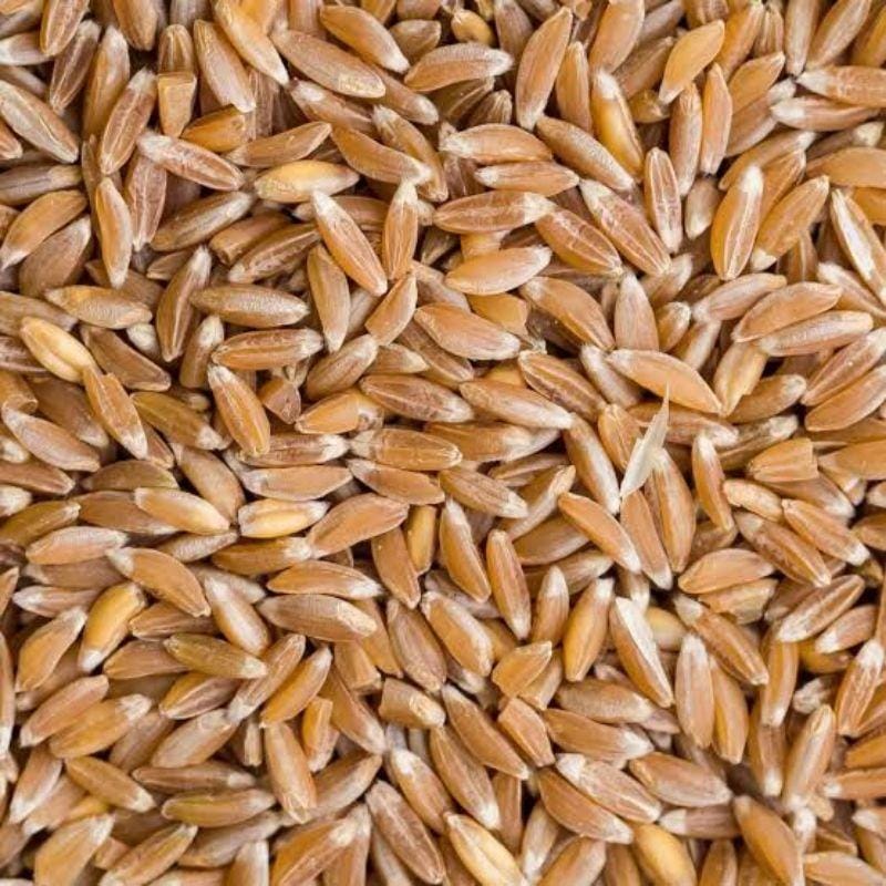Desi Utthana Organics Javagodhi Flour 500gms