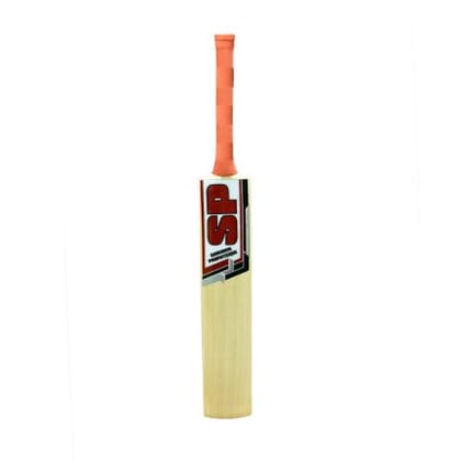 Shredded prophysique Storm Kashmir Willow Cricket Bat