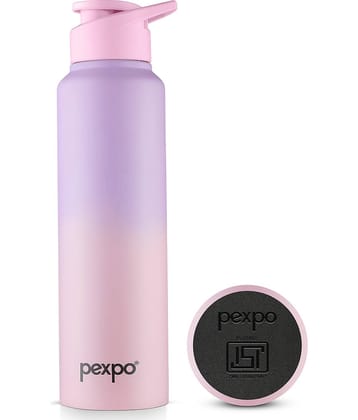 Pexpo Craft Blue Stainless Steel Fridge Water Bottle 950 mL ( Set of 1 )