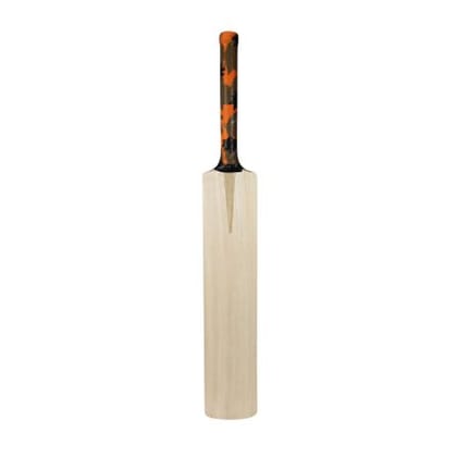 Aver Alligator Kashmiri Willow Cricket Bat