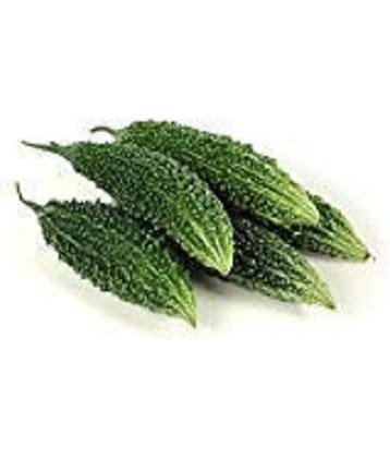 Bitter Gourd Seeds, Karela Seeds Pack of 20 Seeds by AllThatGrows