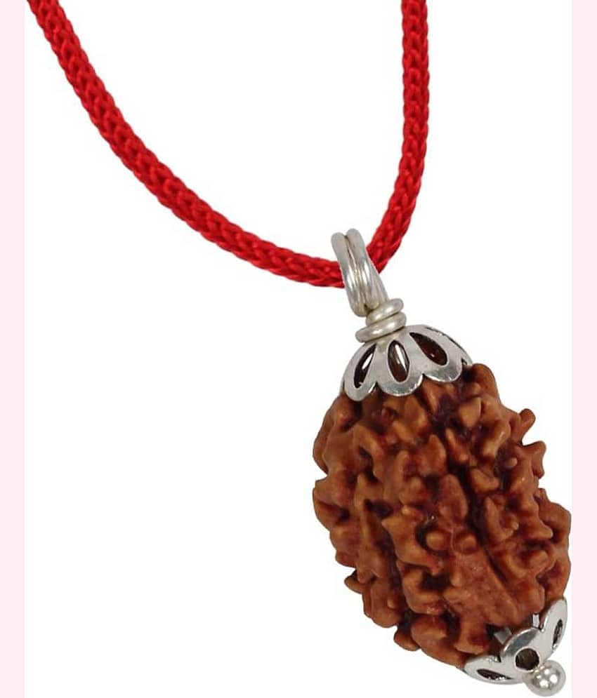 Astrodidi 3 Mukhi Lab Certified Rudraksha Pendant