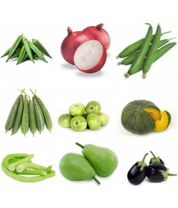 9 VEG COMBO PACK OF 90 SEEDS 10-10 SEEDS OF EACH 1 TOTAL 90 SEEDS PACK WITH MANUAL