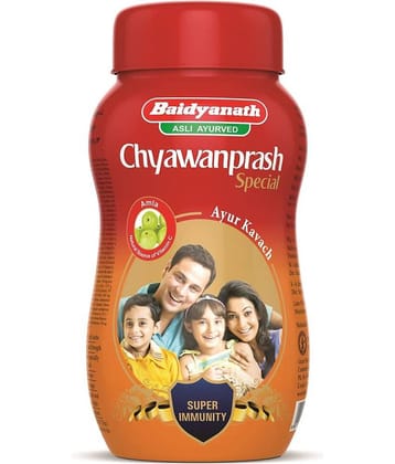 Baidyanath Chyawanprash Special Paste 500 gm Pack Of 1