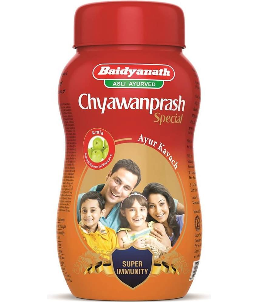 Baidyanath Chyawanprash Special Paste 500 gm Pack Of 1