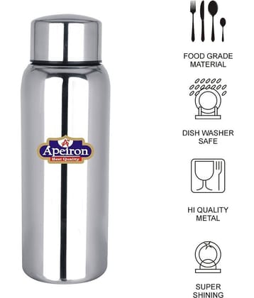 APEIRON Silver 500 mL Water Bottle set of 1