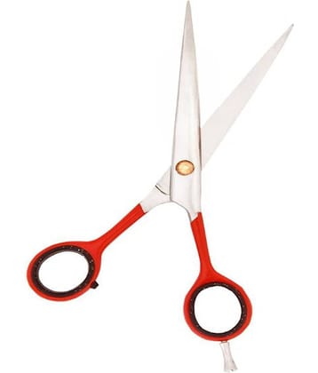 Dhanishka Moustache Scissors