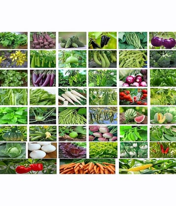 Old Store 45 variety vegetable seeds combo pack with instruction manual.