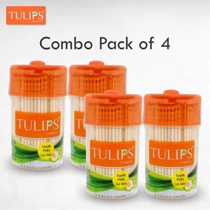 Tulips Wooden Toothpicks 250 Sticks (Pack of 4)