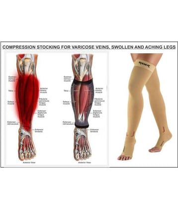 Just Rider Varicose Vein Stocking XXL