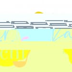 TIFFIN
