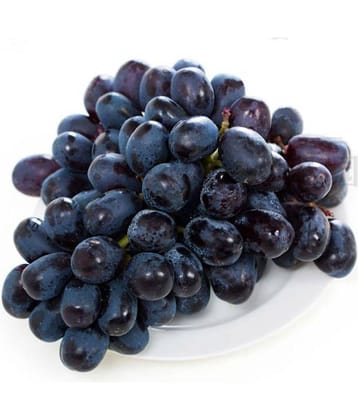 Nema Black Grape Seeds - 50Pcs
