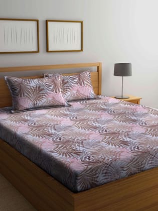 Brown & Blue Floral 300 TC King Cotton Bedsheet with 2 Pillow Covers