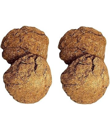 AFAST Cow Dung Cake 4 ( Pack of 4 )