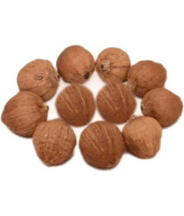 Ever Forever Laghu Nariyal/Shreephal / Mini Coconut Set Of 11 Pcs (Mix Size)