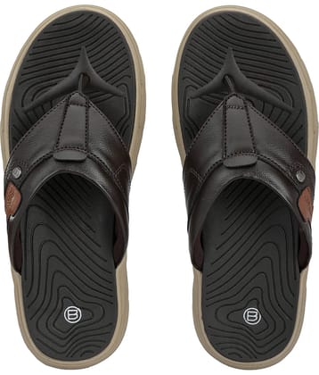 Big Fox Brown Men's Daily Slipper