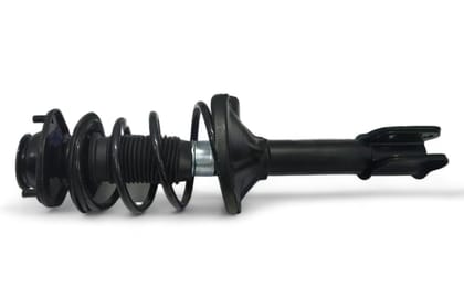 Gabriel Front Suspension Strut Assy - RH AM-G01253