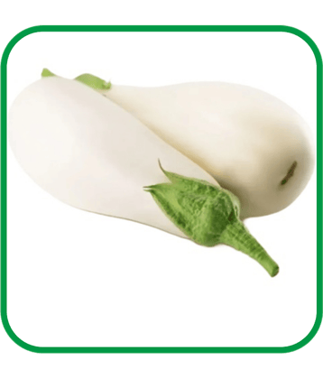Aero Seeds Brinjal White Long Pack of 50 Seeds