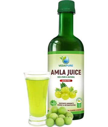 Vedapure Pure & Natural,for All Skin & Hair, Multi-Purpose Aloe Vera Juice Immunity Boosters for Adults (Amla Juice, 500 ML)