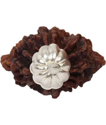 Astrodidi 2 Mukhi Rudraksha Pendant