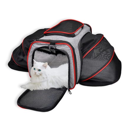 Buraq Expandable Premium Pet Luggage Carrier, Detachable & Adjustable Travel Bag with Ventilation, Lightweight, Durable & Portable for Cats (Ruby Red)-RUBY RED