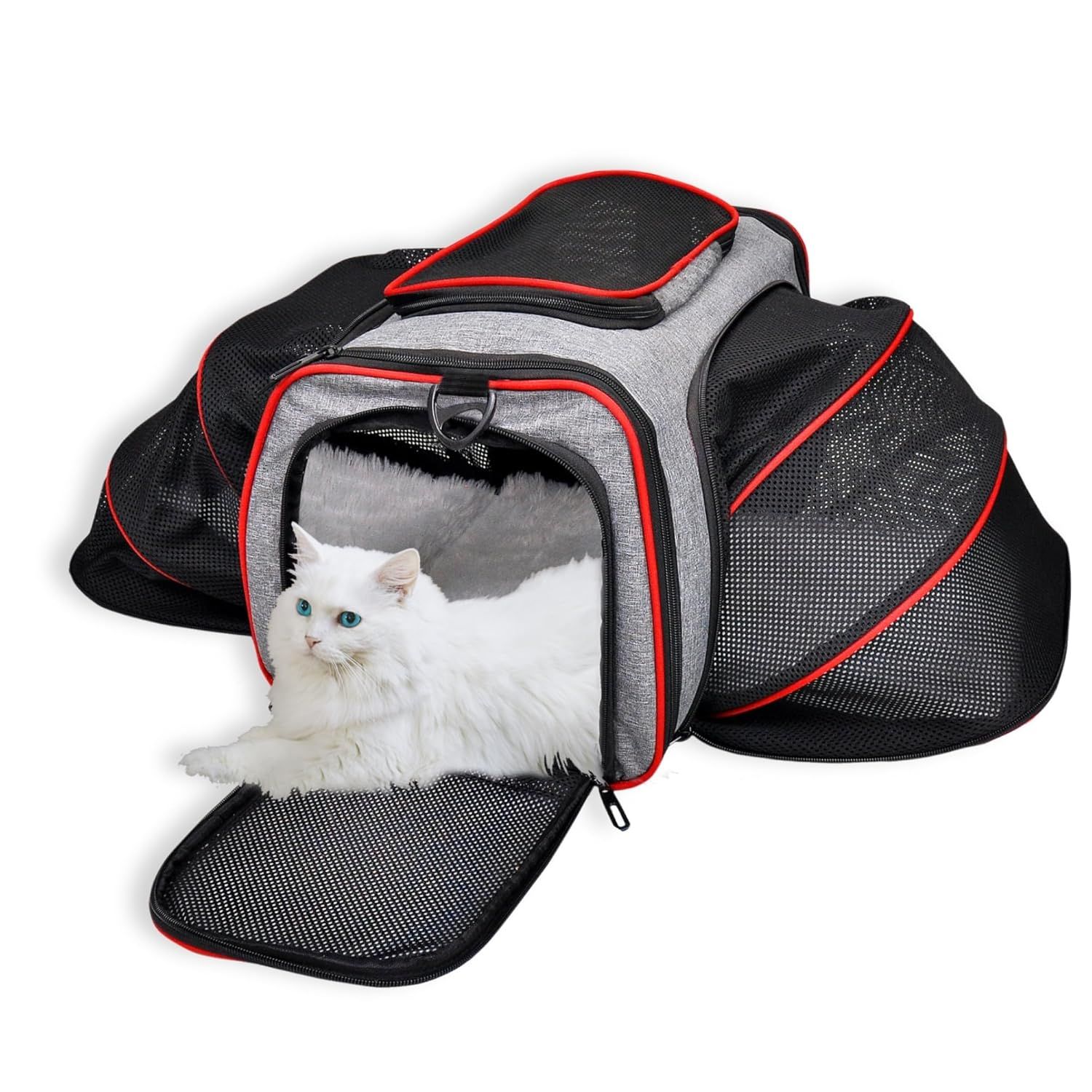 Buraq Expandable Premium Pet Luggage Carrier, Detachable & Adjustable Travel Bag with Ventilation, Lightweight, Durable & Portable for Cats (Ruby Red)-RUBY RED