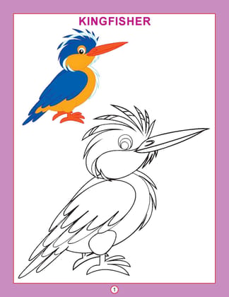 Copy Colour: Birds (copy Colour Books) [Paperback] Dreamland Publications