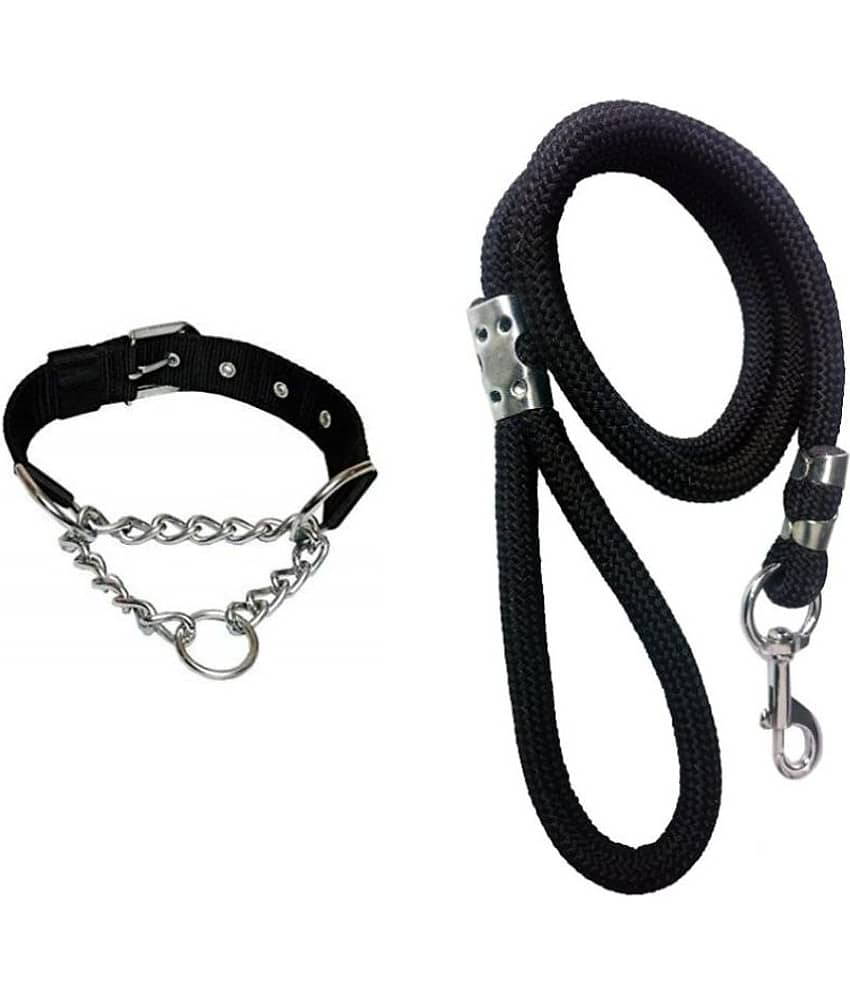 Smart Doggie - Multicolor Dog Collar (Small)