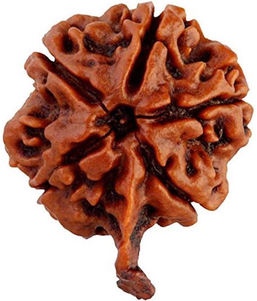 RUDRA DIVINE - Brown Pendant ( Pack of 1 )