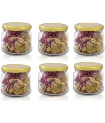 skwaion - Gold Glass Spice Container ( Set of 6 ) - 300 ml