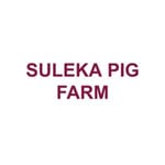 SULEKA PIG FARM