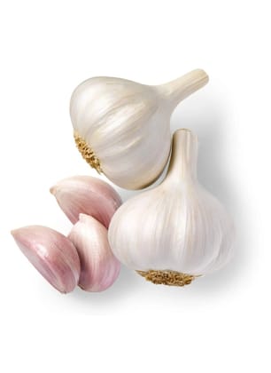 Garlic 