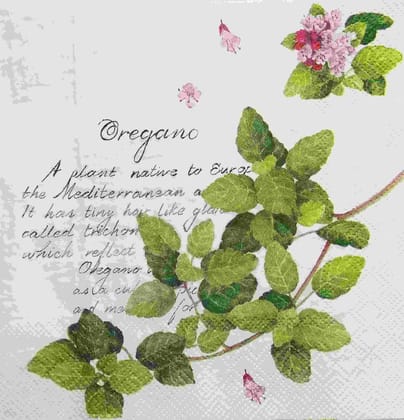 Decoupage Napkin / Tissue papers - GT1686