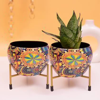 DECORATIVE FLOWER POT