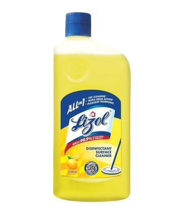 Lizol Disinfectant Surface & Floor Cleaner Liquid,