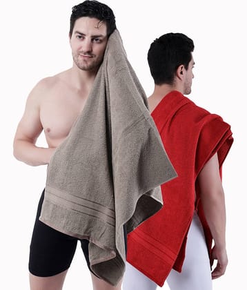 Dollar Cotton Printed 500 -GSM Bath Towel ( Pack of 2 ) - Multicolor